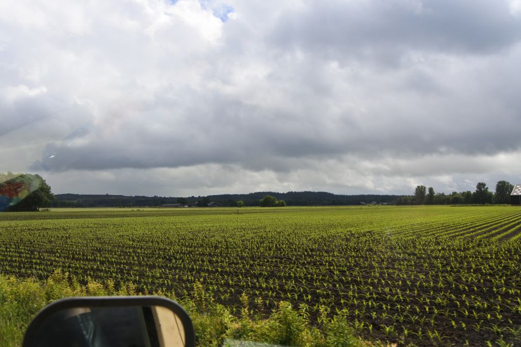 Oldtimerrit Geesteren 25 mei 2025 - 88